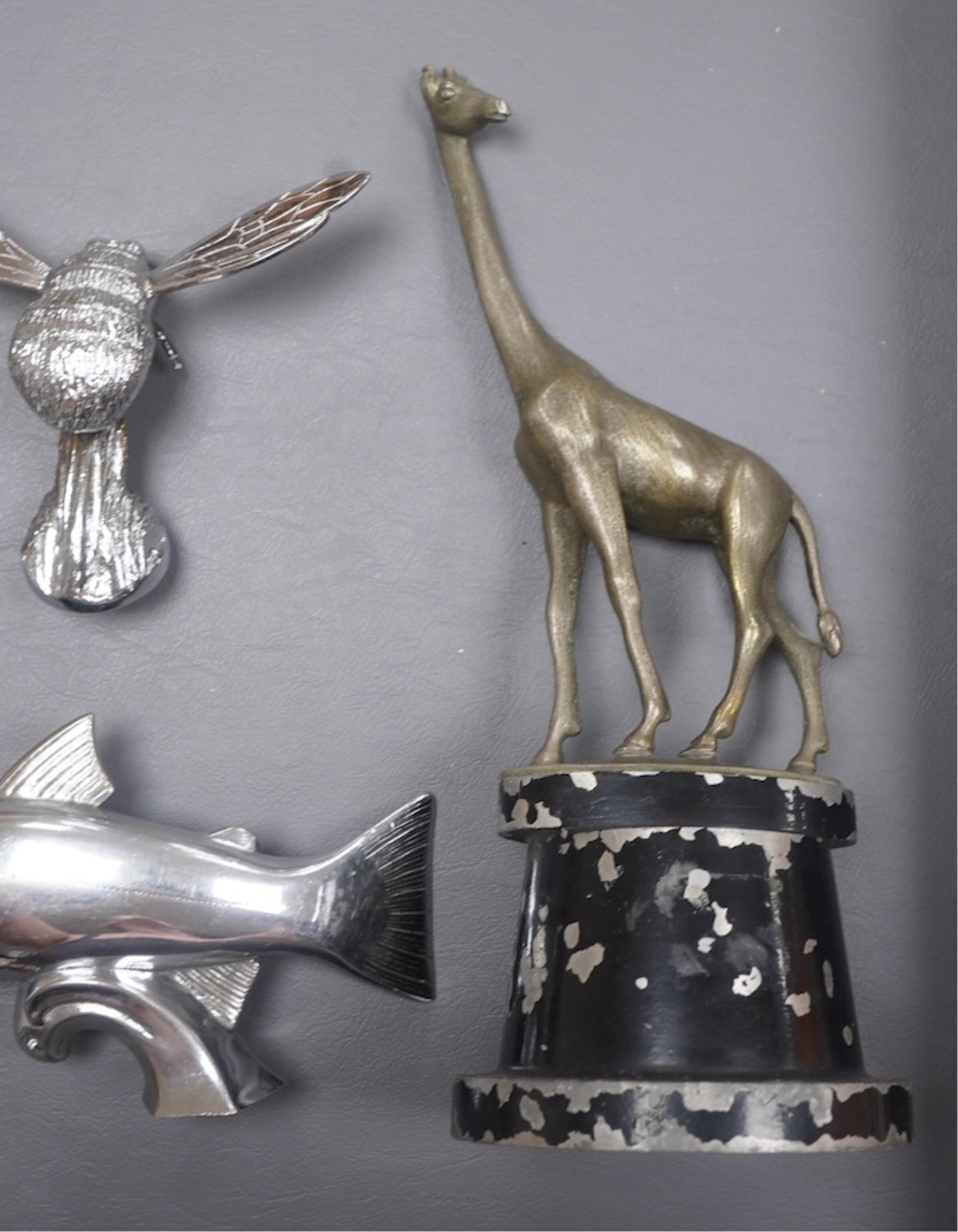 Five animal themed chrome and brass car mascots consisting of a giraffe mounted on a turned aluminium base, a hare, a bumblebee in flight, a leaping fish, and a scorpion. Condition - fair to good.